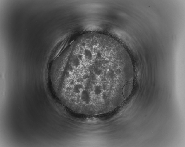 X0000094220591200711091257