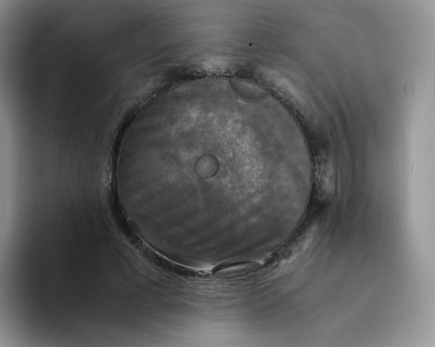 X0000094220593200711091257