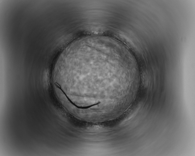 X0000094220594200711091257