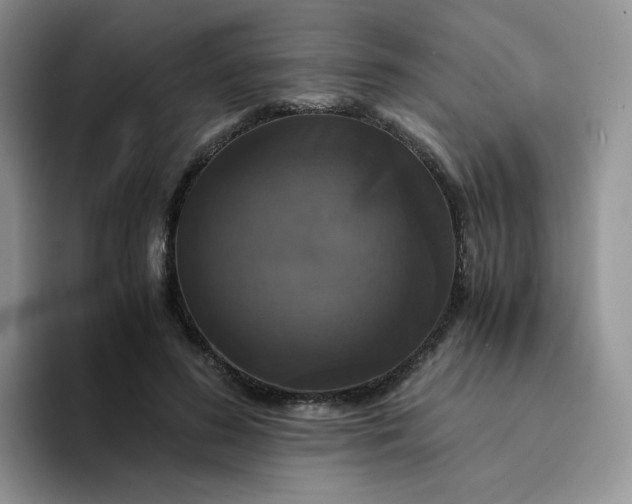 X0000094220596200711091257