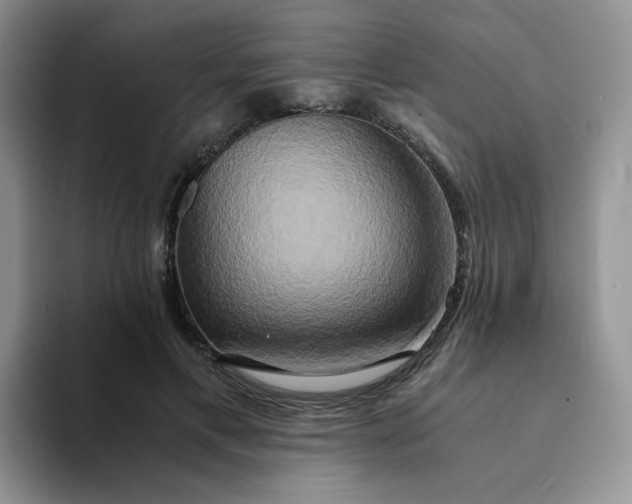 X0000094220597200711091257