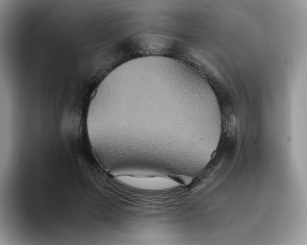 X0000094220599200711091257