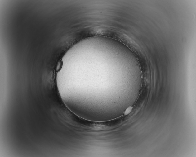 X0000094220605200711091257