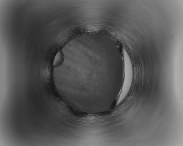 X0000094220608200711091257