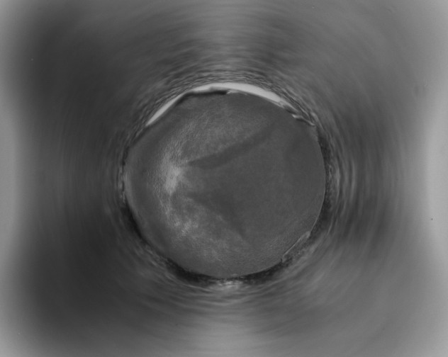 X0000094220609200711091257