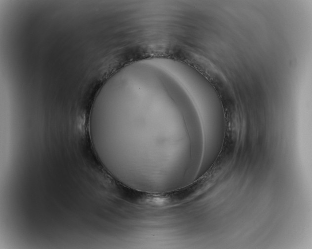 X0000094220610200711091257