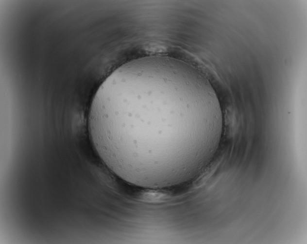 X0000094220614200711091257