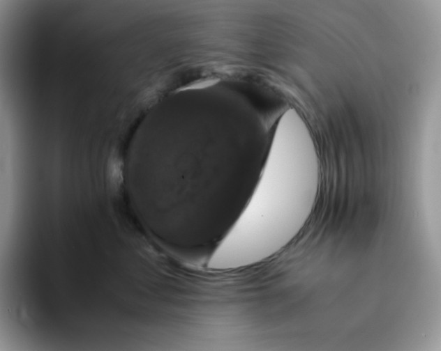 X0000094220621200711091257