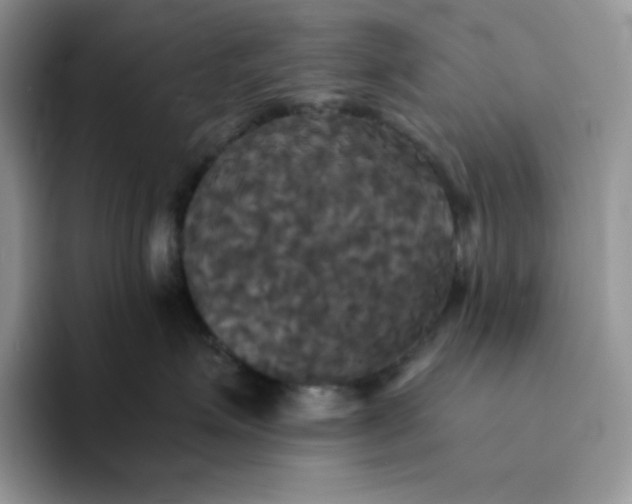 X0000094220623200711091257