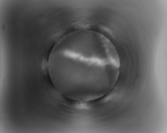 X0000094220624200711091257