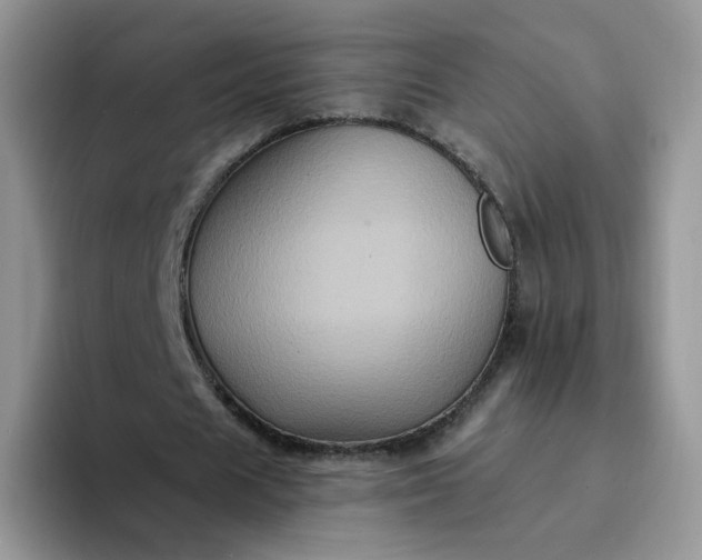 X0000094220625200711091256