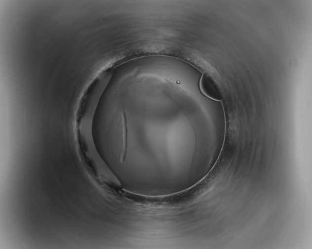 X0000094220626200711091256