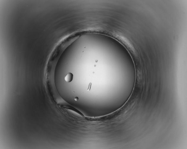 X0000094220628200711091256