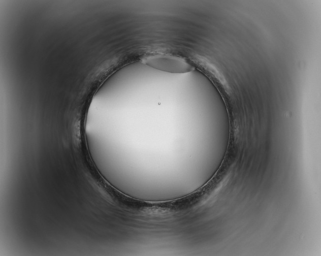 X0000094220633200711091256