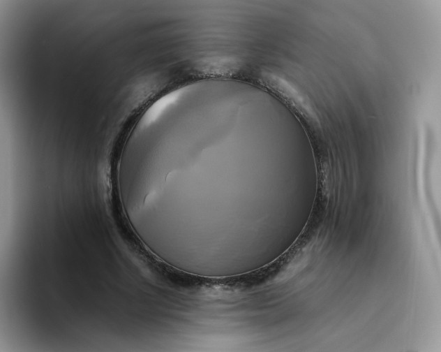 X0000094220634200711091256