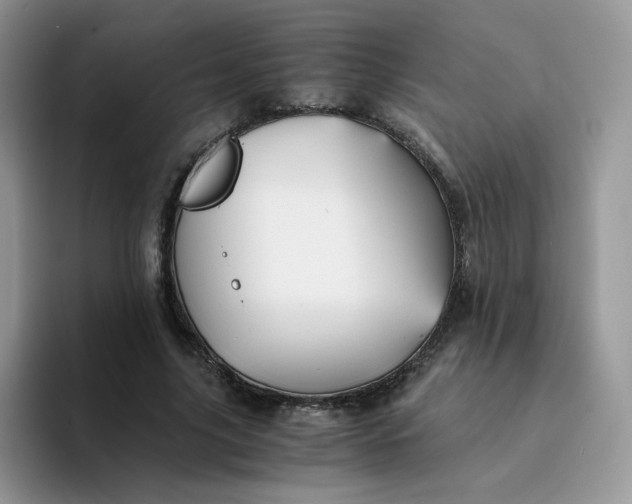 X0000094220635200711091256