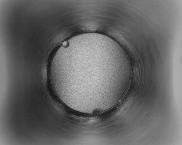 X0000094220638200711091256