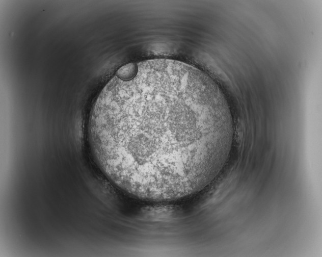 X0000094220639200711091256