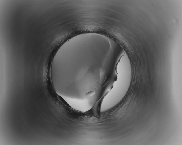 X0000094220640200711091256