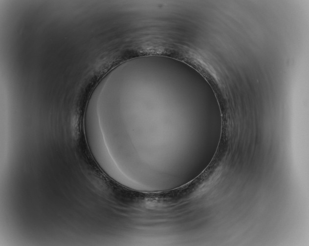 X0000094220641200711091256