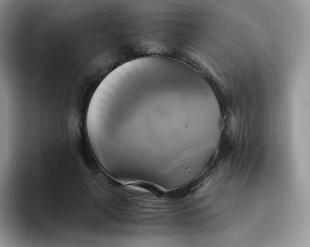 X0000094220643200711091256