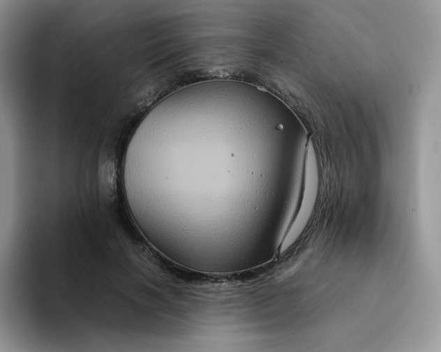 X0000094220646200711091257