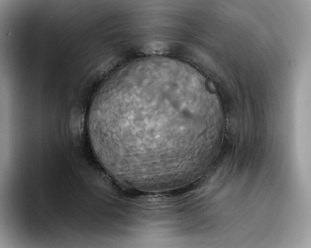 X0000094220652200711091257