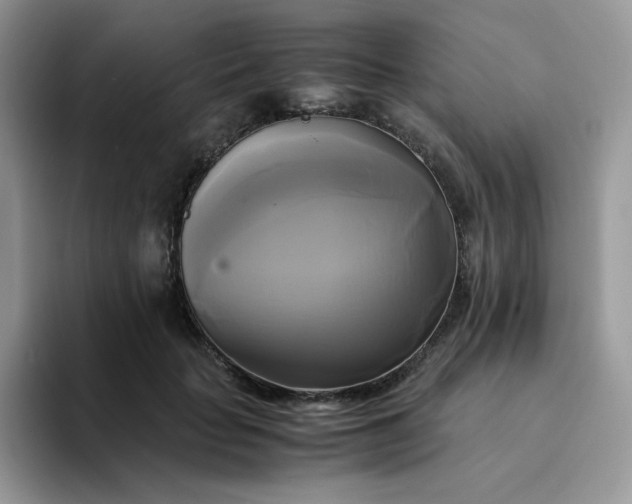 X0000094220653200711091257