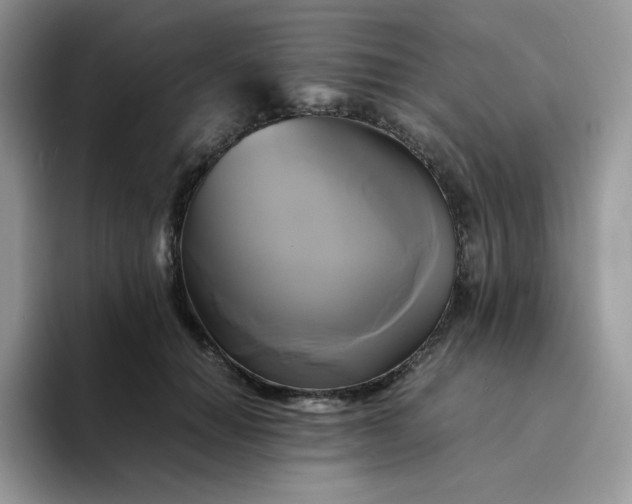 X0000094220654200711091257