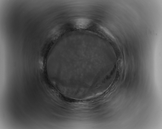 X0000094220655200711091257