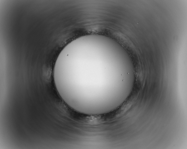 X0000094220660200711091257