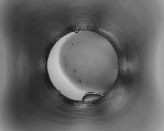 X0000094220661200711091257