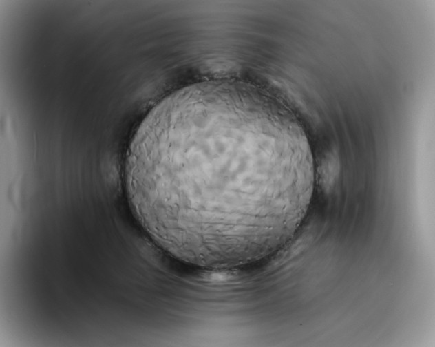 X0000094220662200711091257