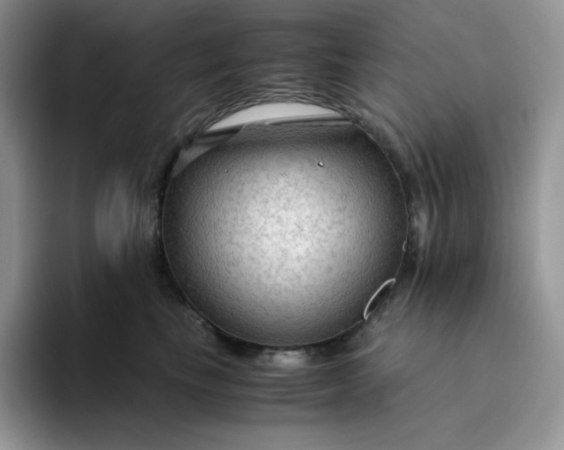 X0000094220665200711091257