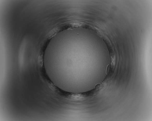 X0000094220666200711091257