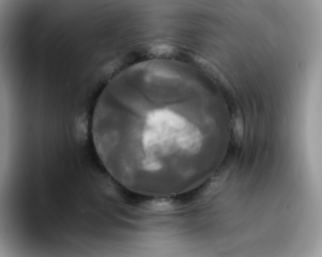 X0000094220668200711091257