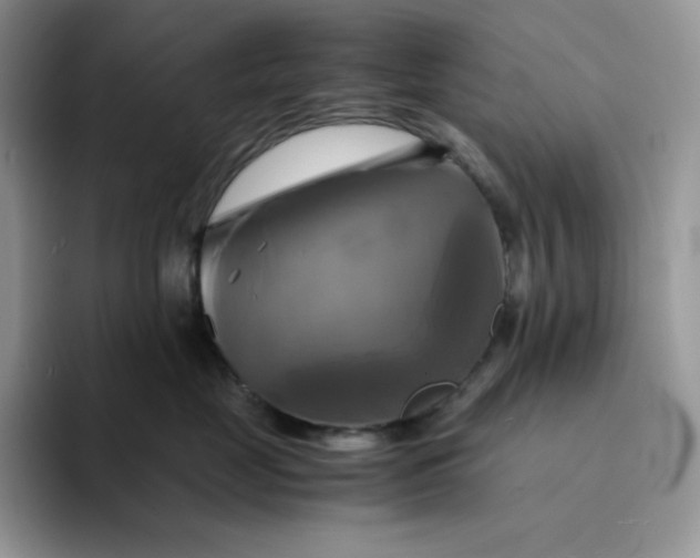 X0000094220669200711091257