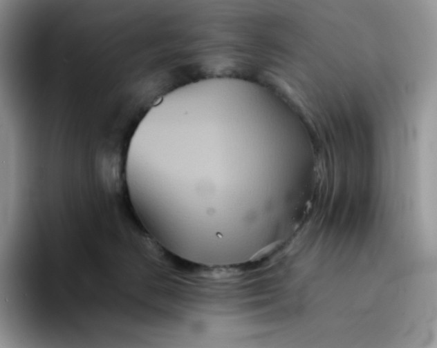 X0000094220670200711091257