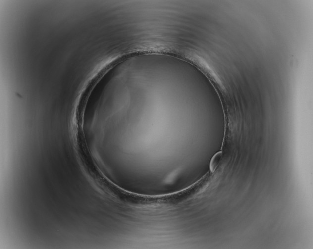 X0000094220674200711091256