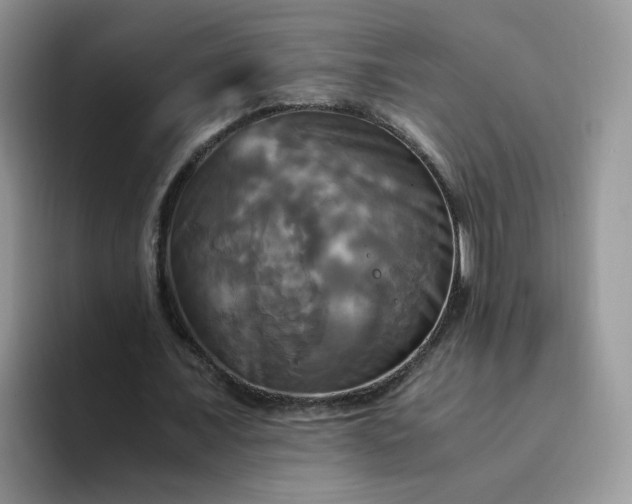 X0000094220675200711091256