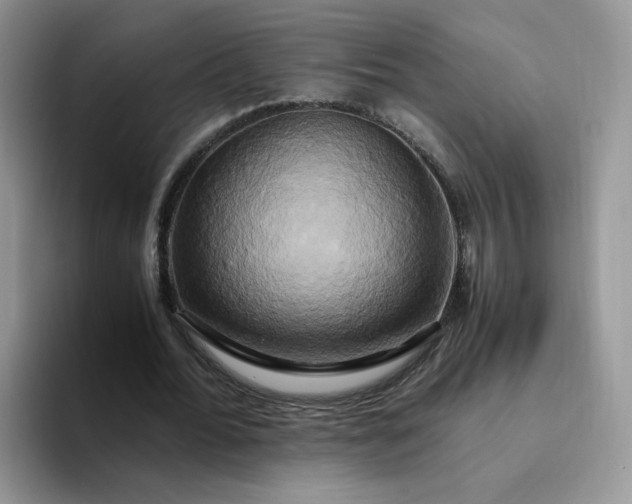 X0000094220676200711091256