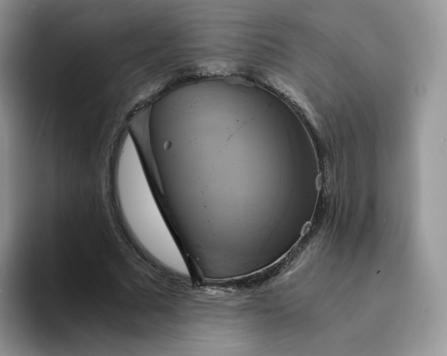 X0000094220681200711091256