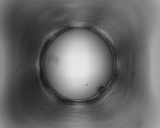 X0000094220682200711091256