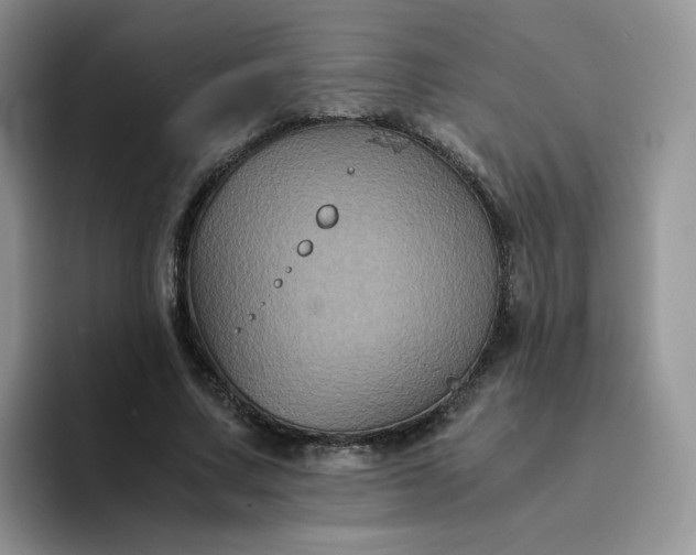 X0000094220683200711091256