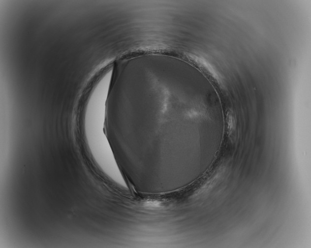 X0000094220684200711091256