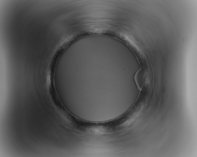 X0000094220685200711091256