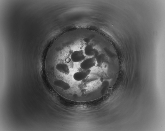 X0000094220687200711091256