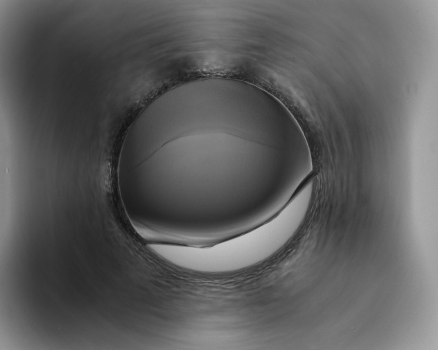 X0000094220689200711091256