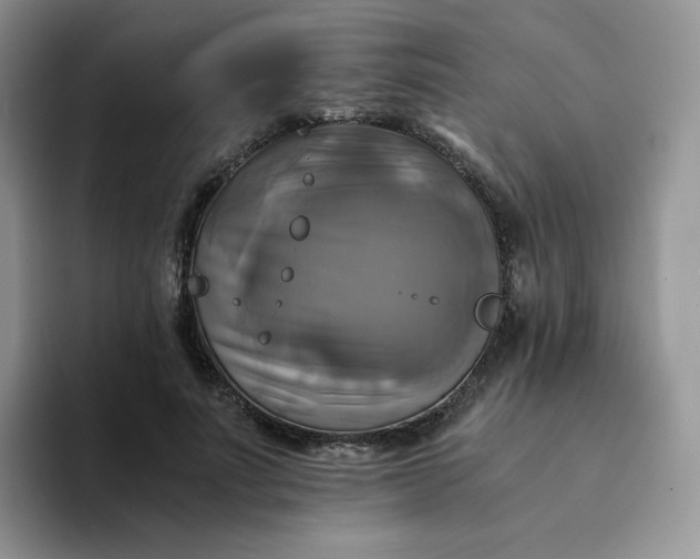 X0000094220691200711091256