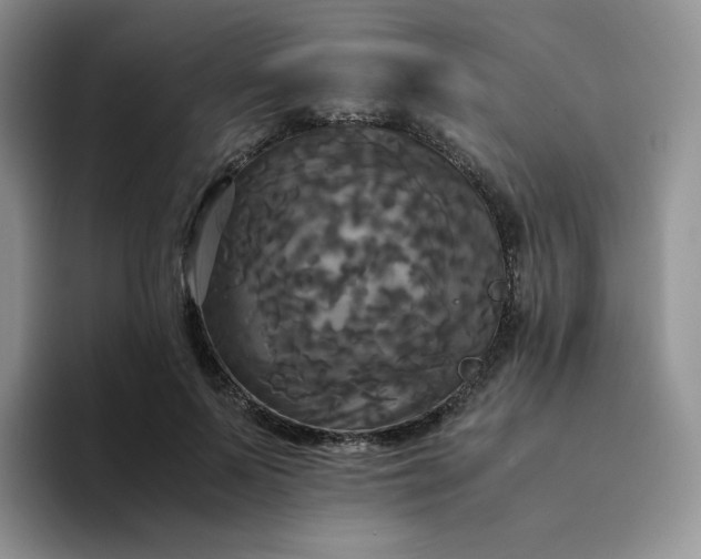 X0000094220695200711091256